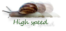 Hig speed